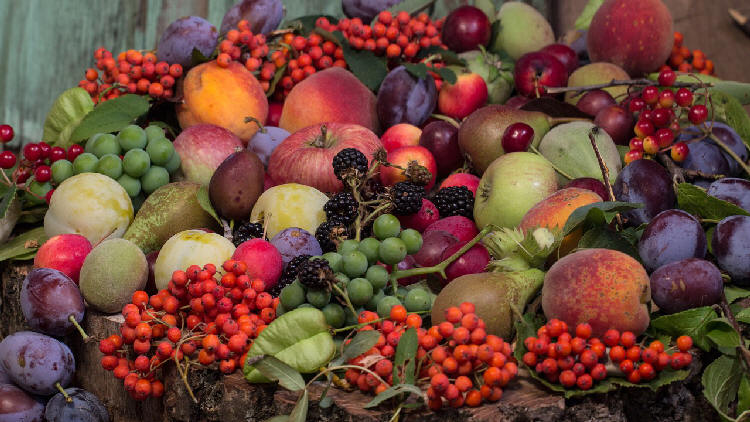 A Whole Lotta Fruit