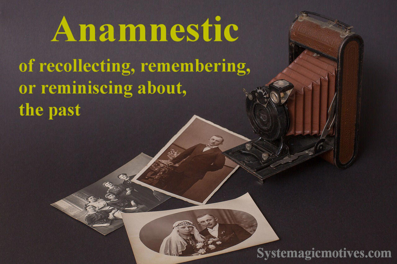 Graphic Definition of Anamnestic