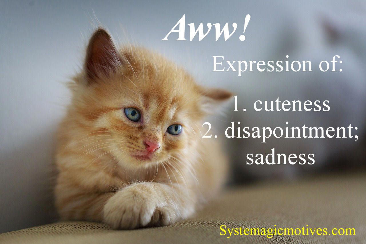 Graphic Definition of 'Aww' (A cute kitten)