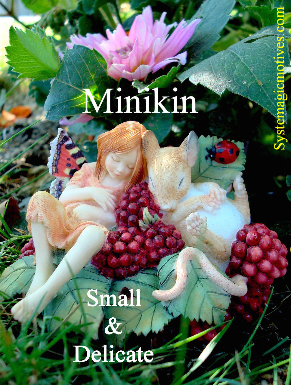 Graphic Definition of Minikin