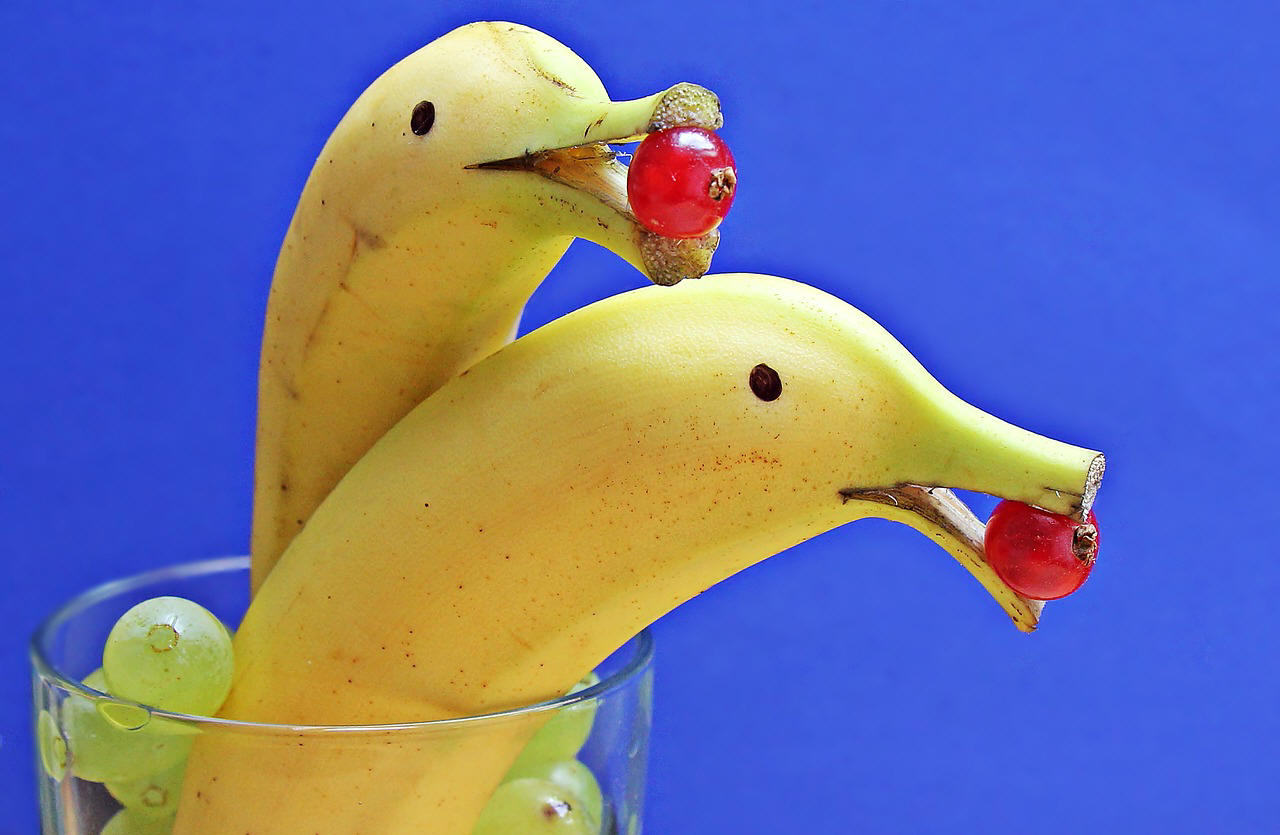 Banana Dolphins