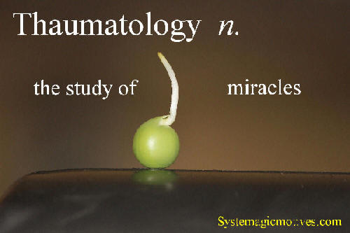 Graphic Definition of Thaumatology