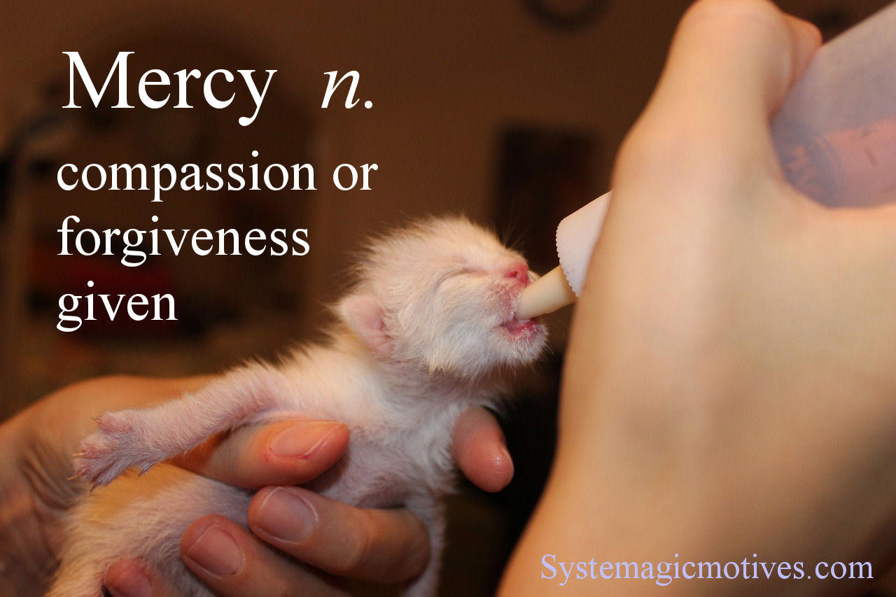 The Universal Law of Mercy