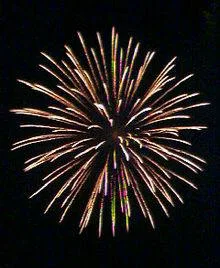 Exploding Firework!!!