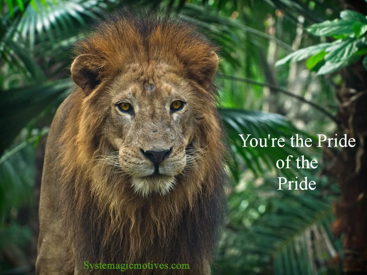 Pride of the Pride