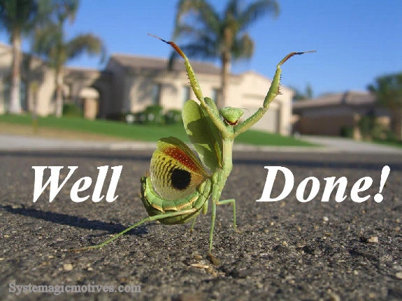 Well Done