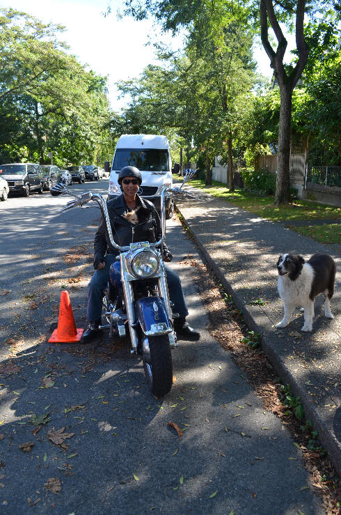 A Biker, 2 Puppies, & a Dog