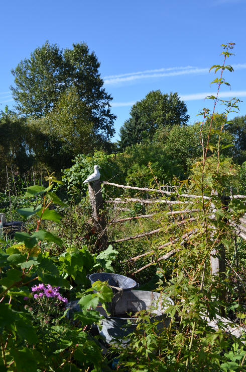 Strathcona Community Garden