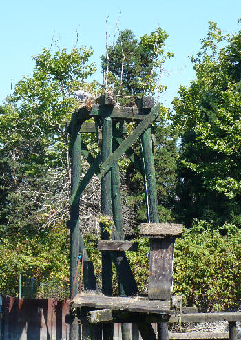 Rustic Old Pier Feature 2