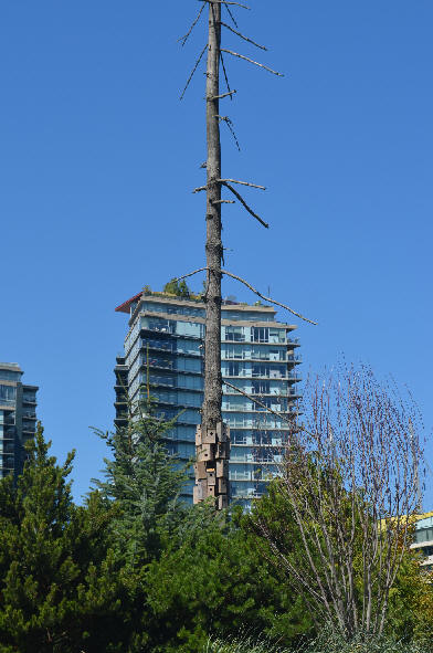 Habitat Island High-rises