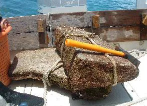 Wedge stone from under Bimini Road block