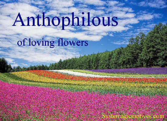 Graphic Definition of Anthophilous