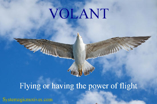 Graphic Definition of Volant