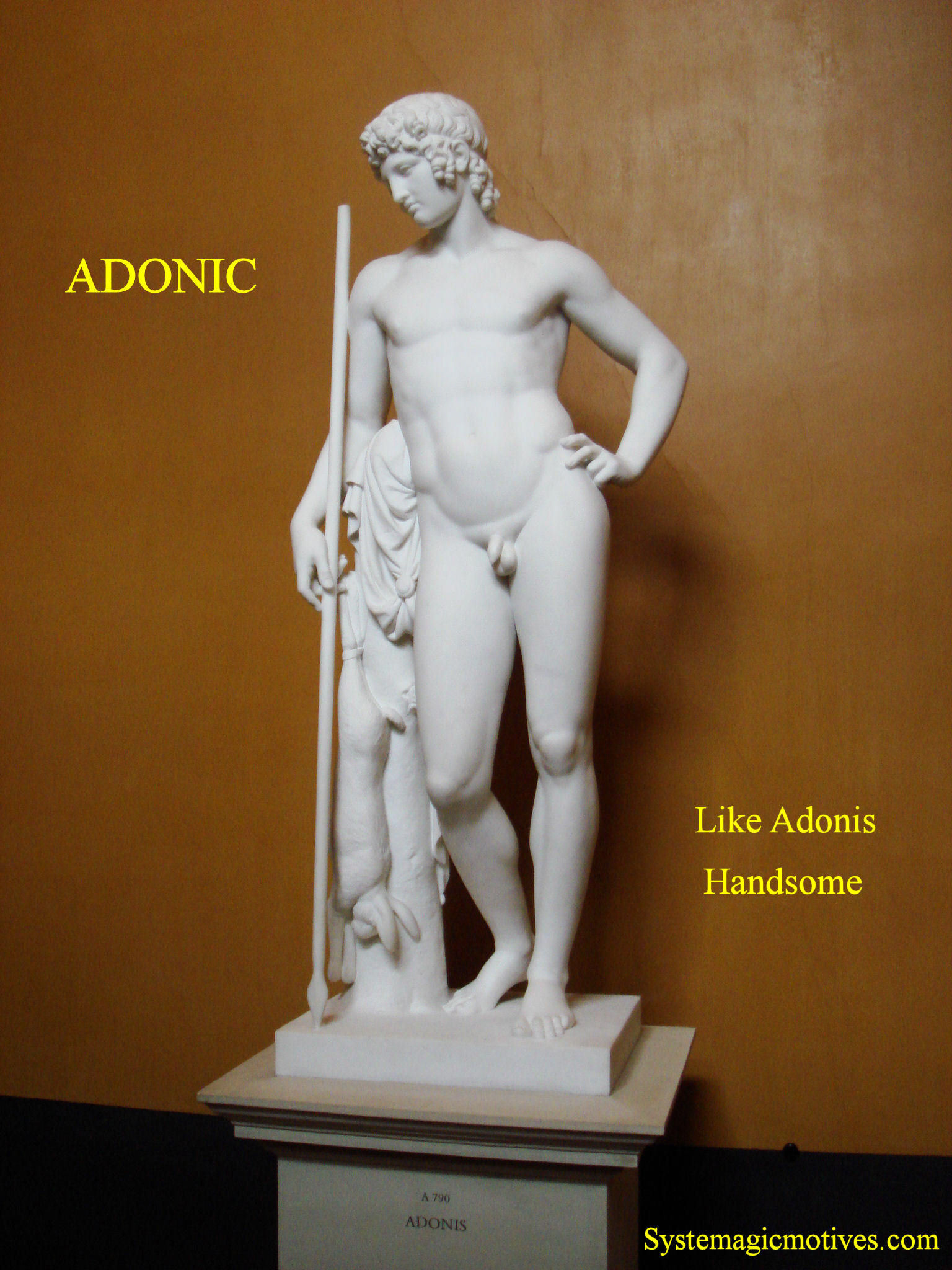 Graphic Definition of 'Adonis'