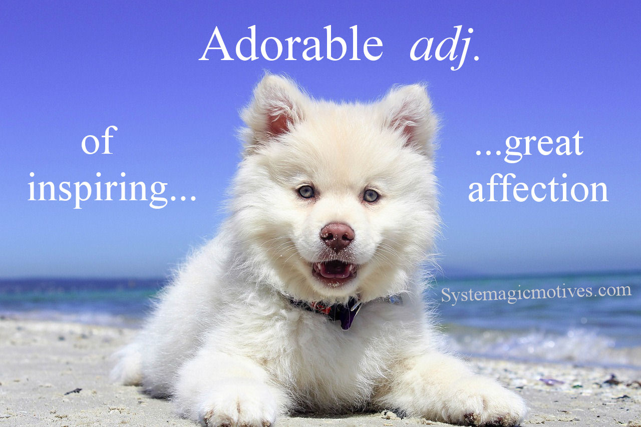 Graphic Definitions of 'Adorable'