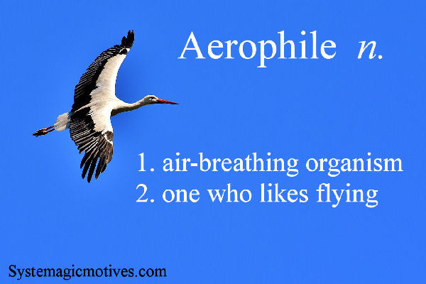 Graphic Definition of Aerophile
