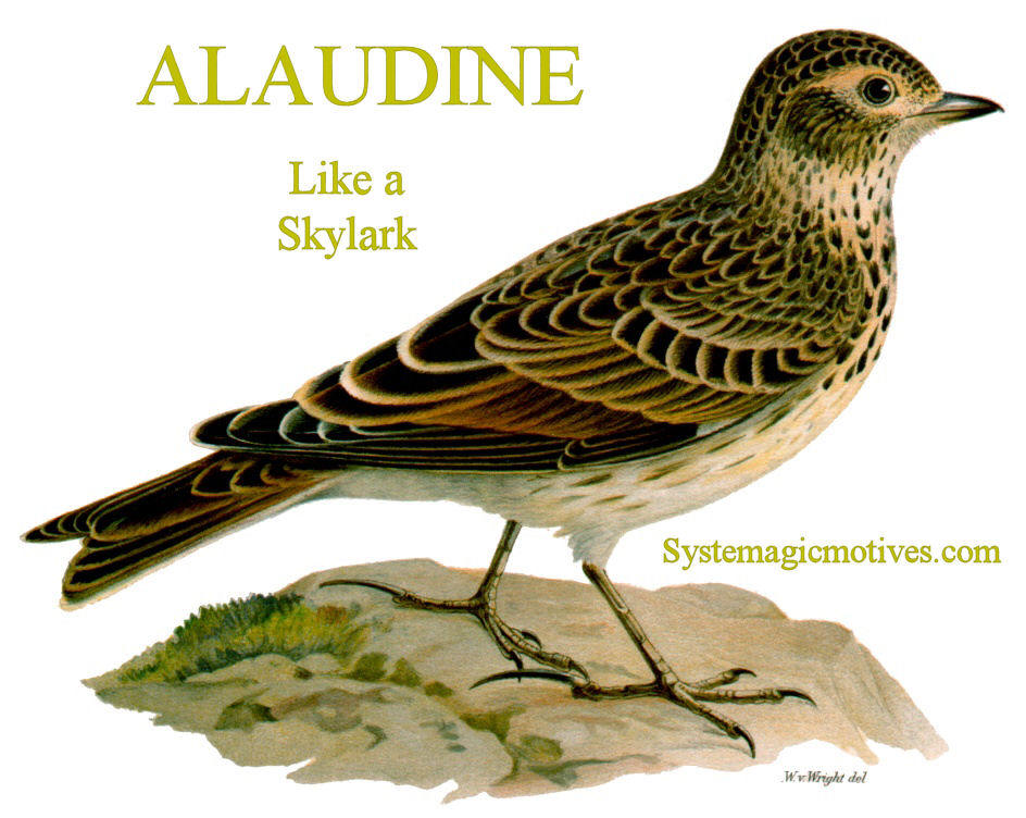 Graphic Definition of 'Aluadine'