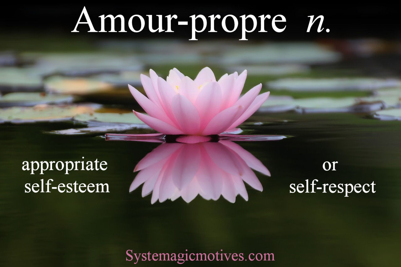 Graphic Definition of Amour-propre
