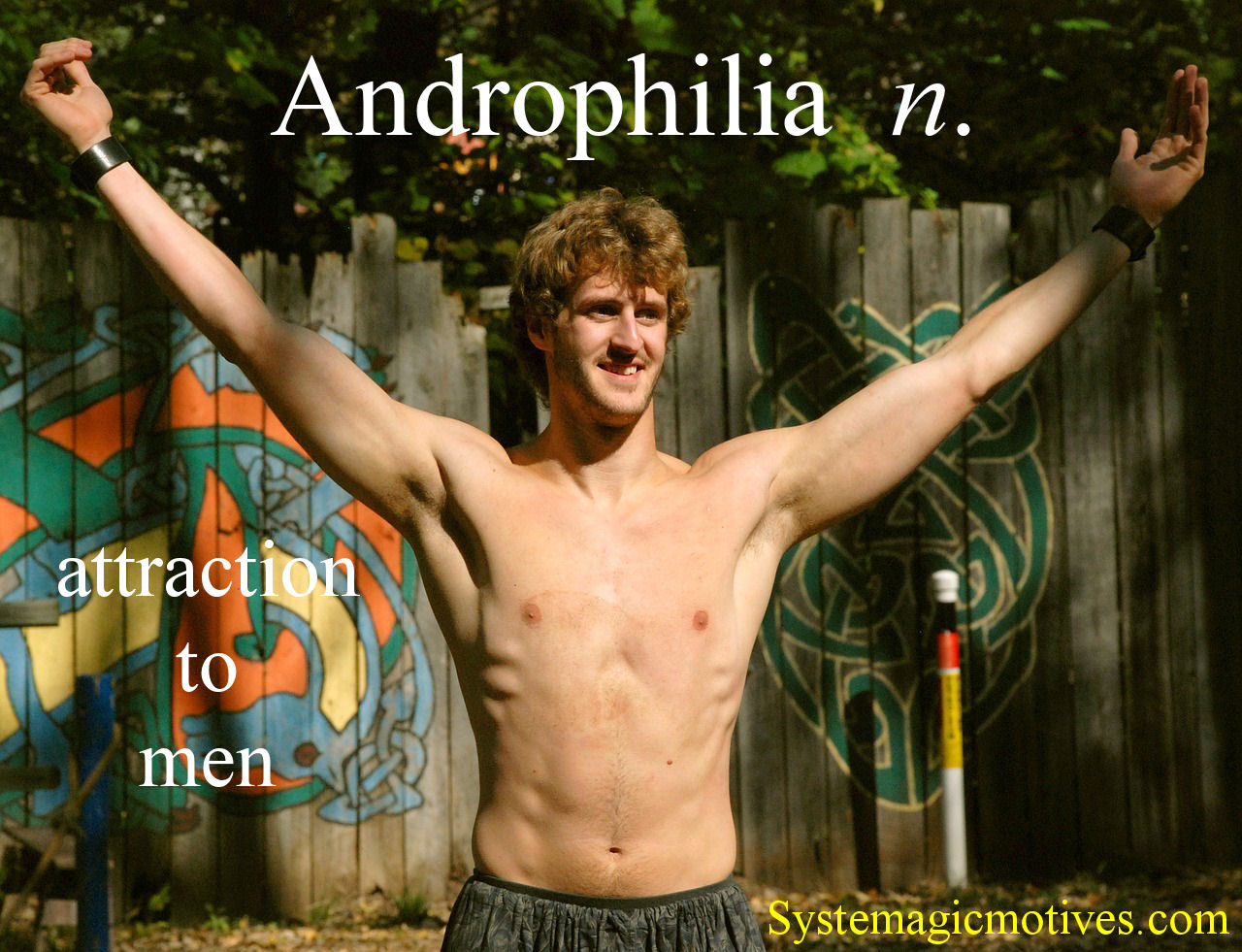 Graphic Definition of Androphile