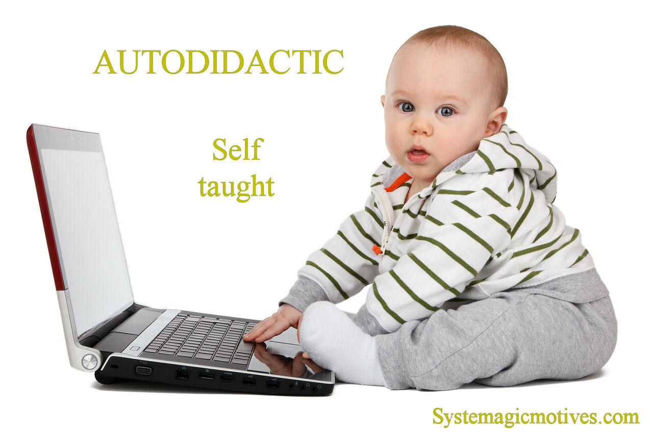 Graphic Definition of Autodidactic