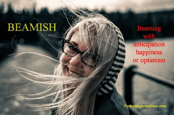 Graphic Definition of Beamish