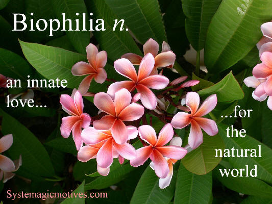 Graphic Definition of Biophilia