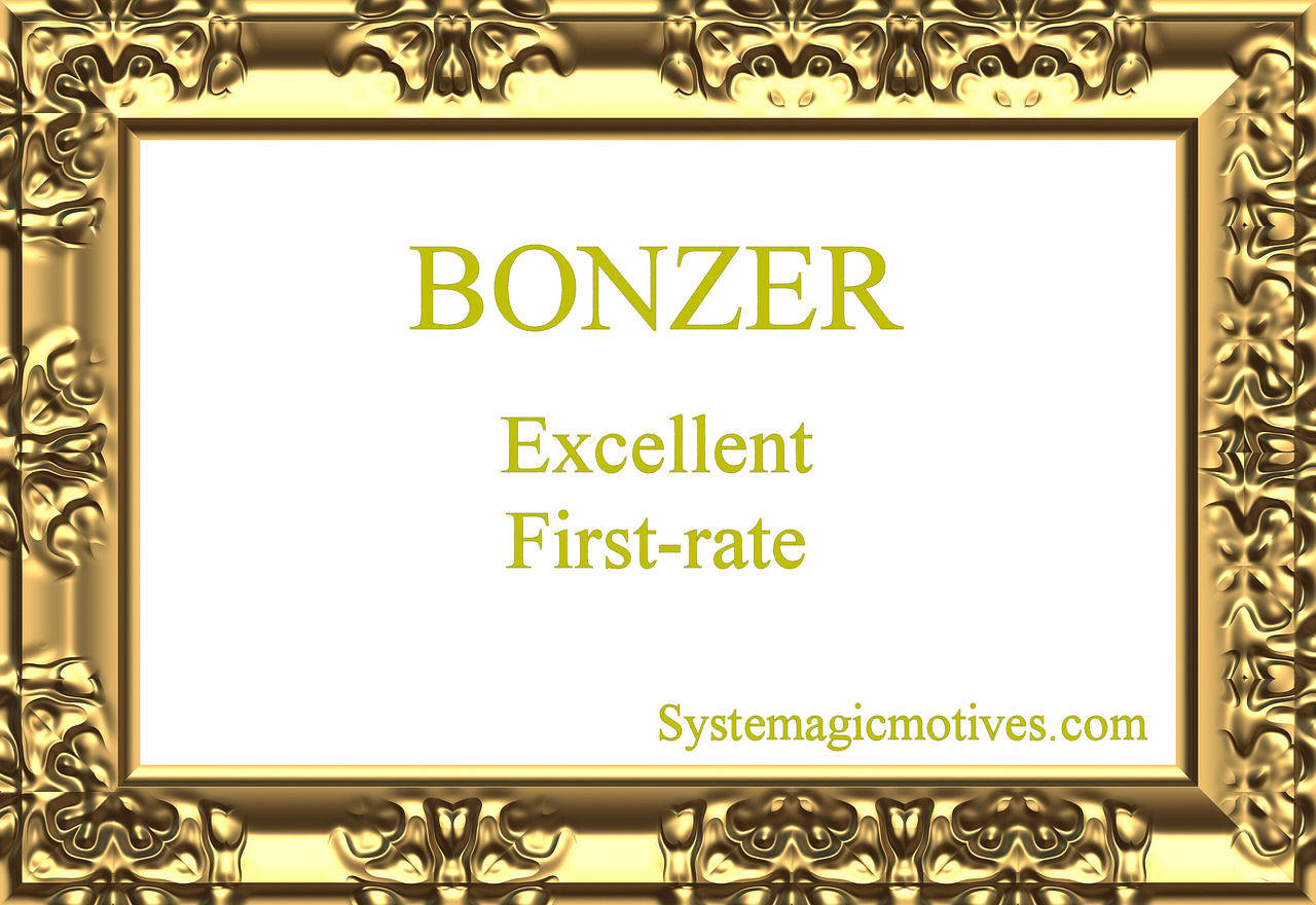 Graphic Definition of Bonzer