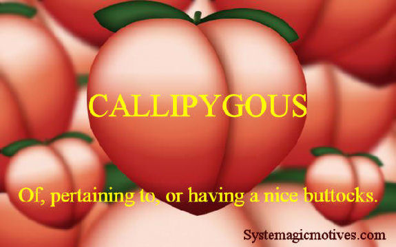 callipygous definition  callipygous meaning - words to describe