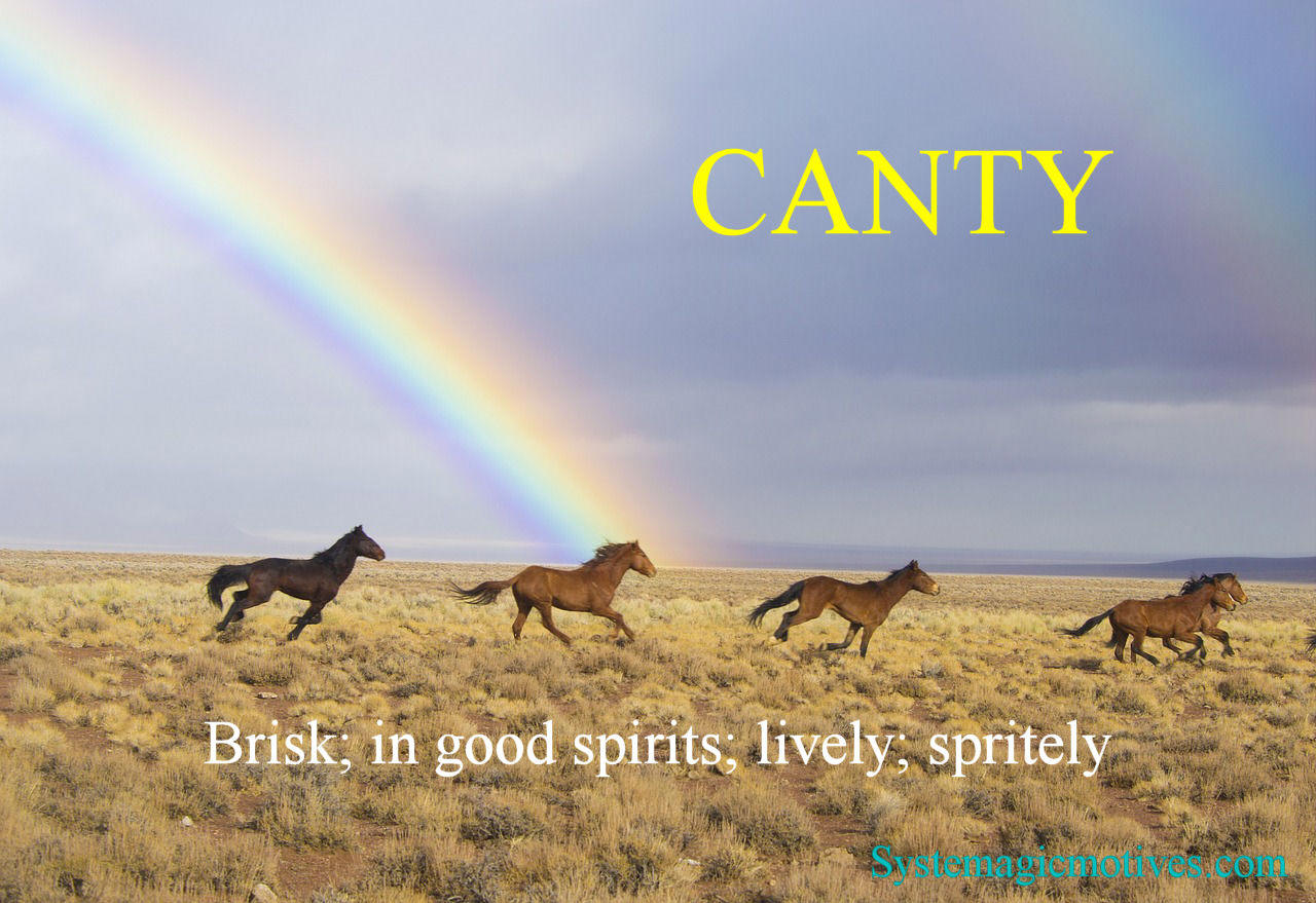 Graphic Definiton of Canty