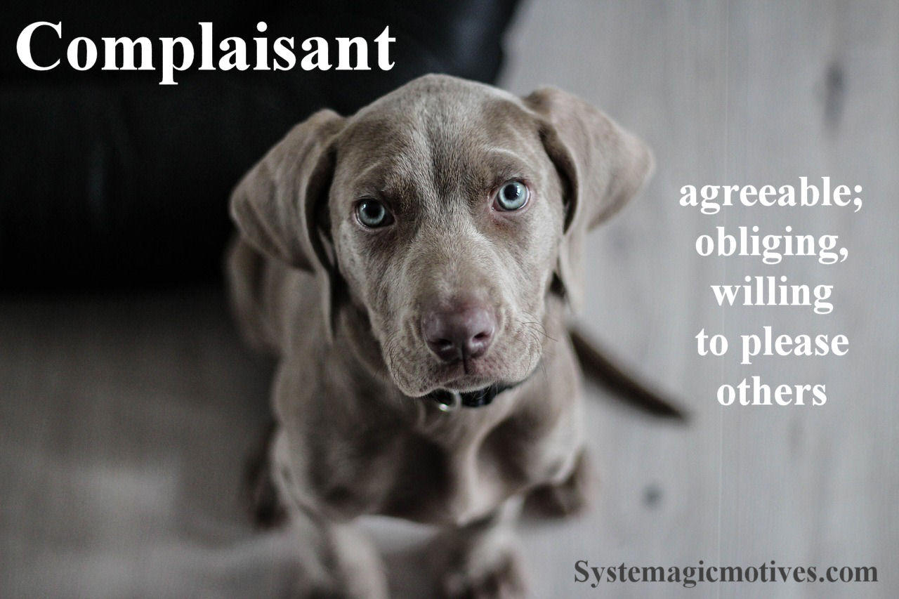 Graphic Definition of Complaisant
