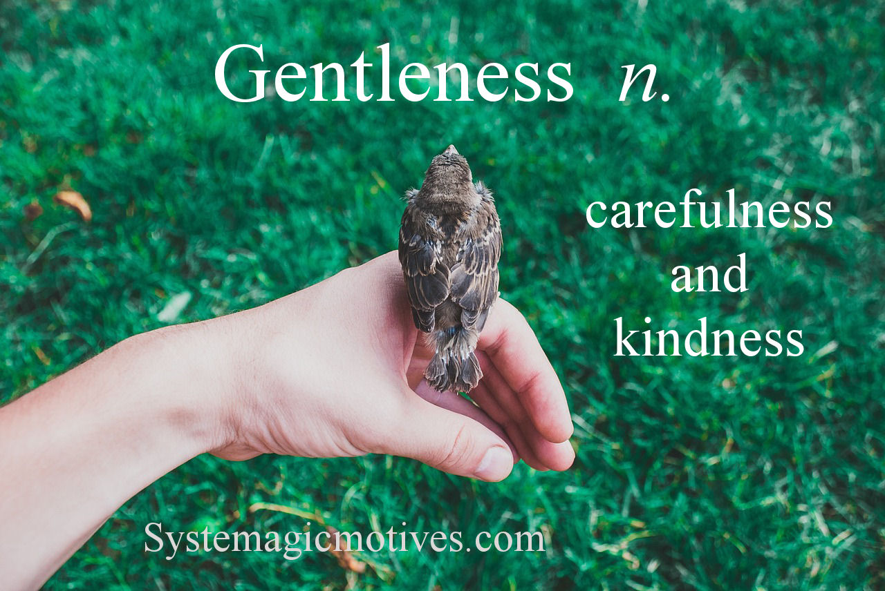 Graphic Definition of Gentleness