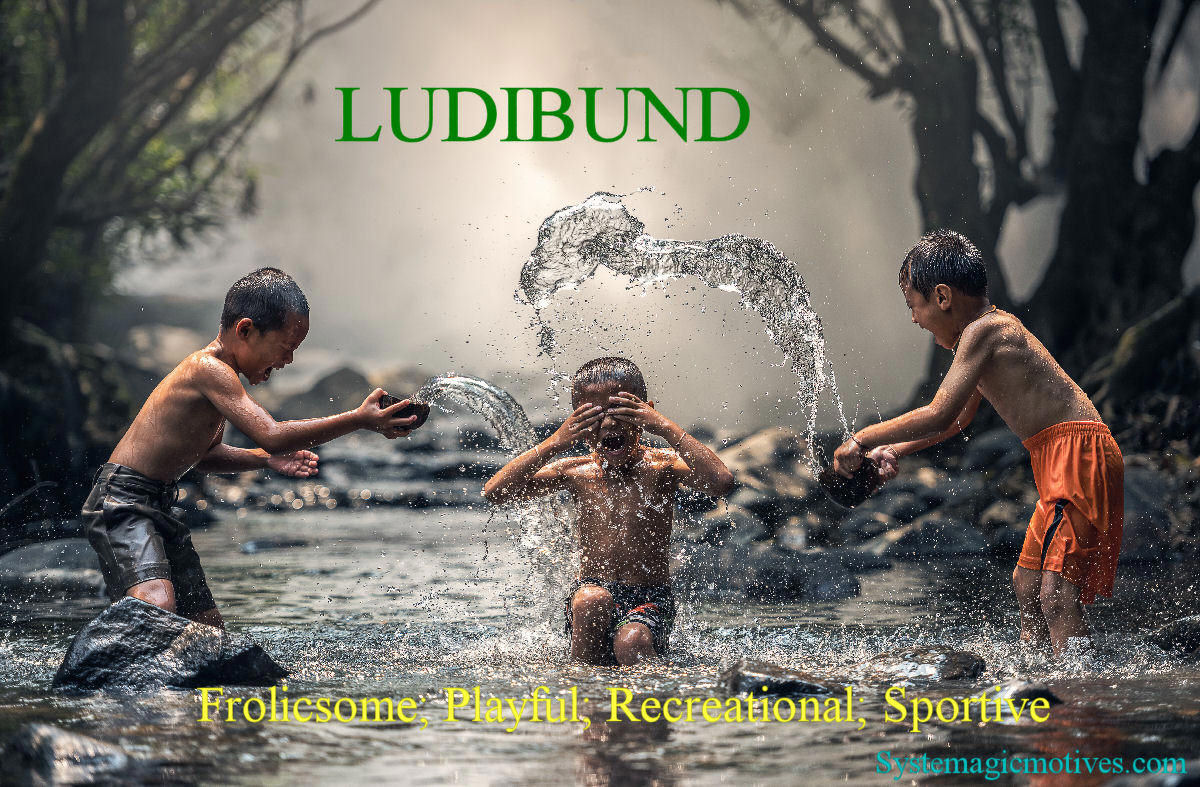 Graphic Definition of Ludibund
