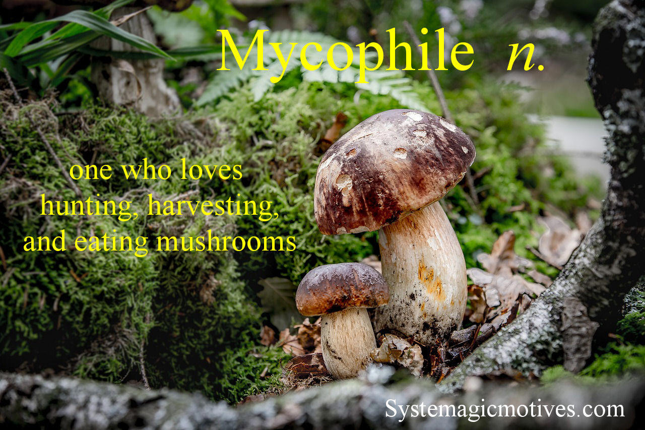 Graphic Definition of Mycophile