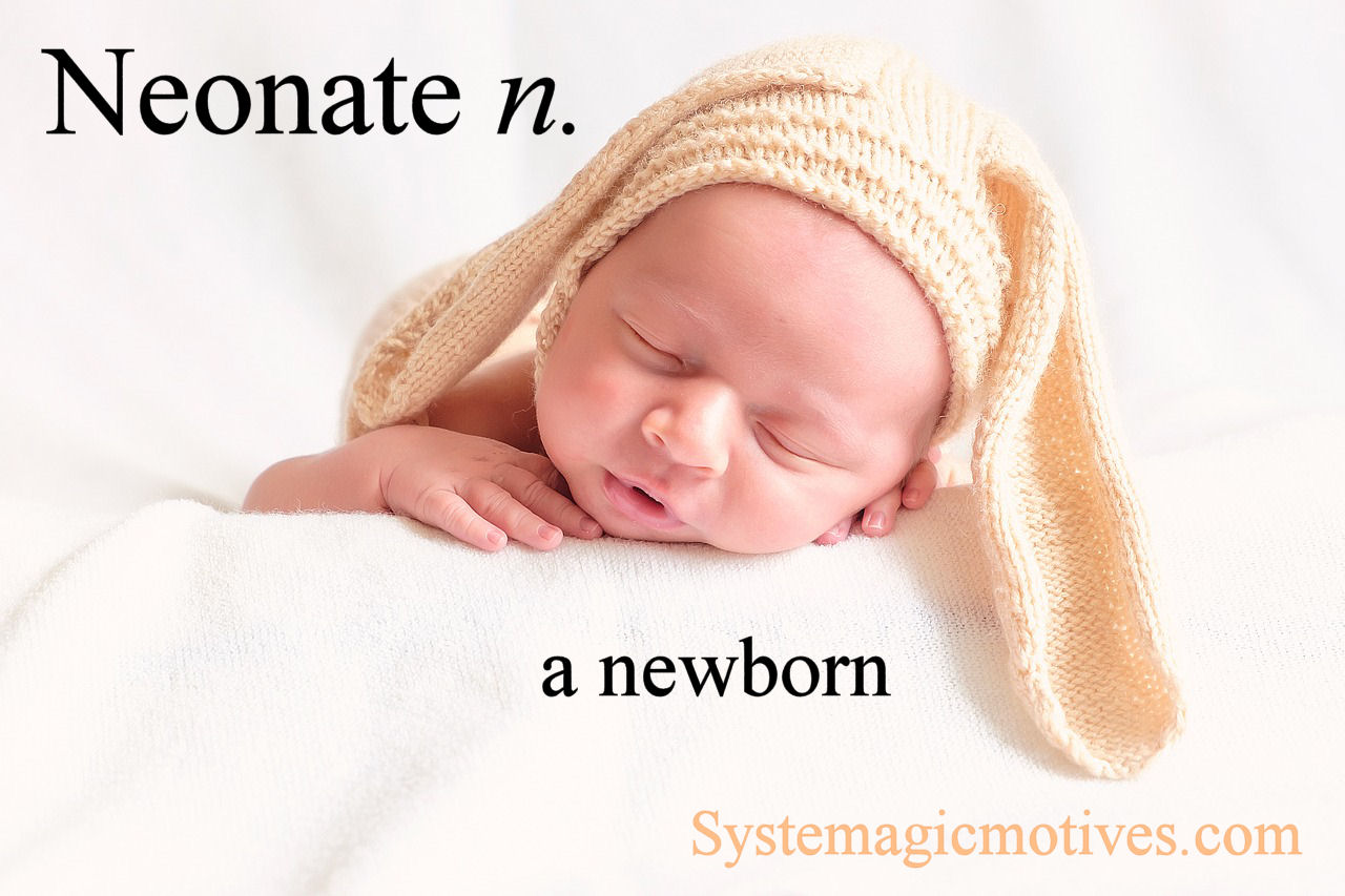 Graphic Definition of Neonate