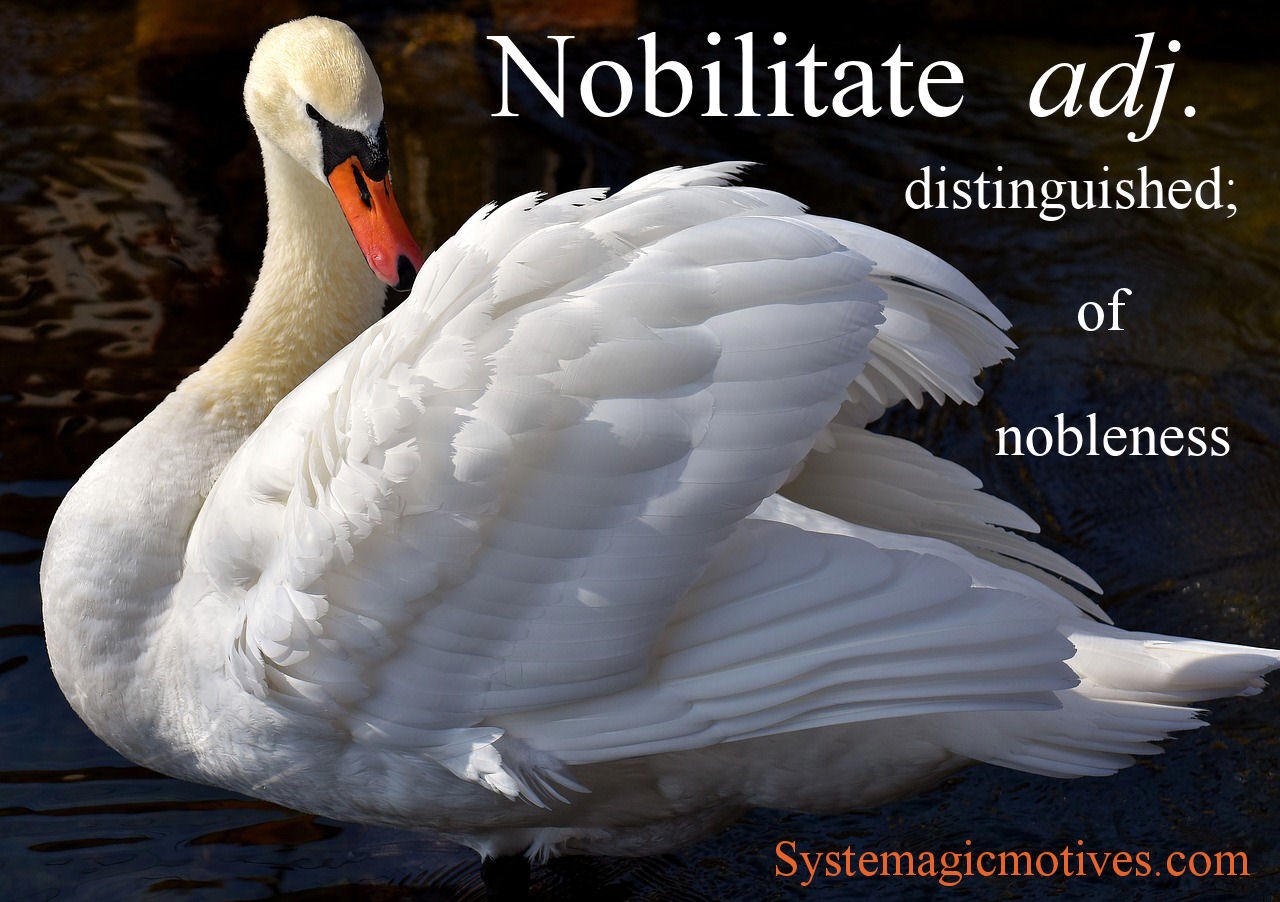 Graphic Definition of Nobilitate
