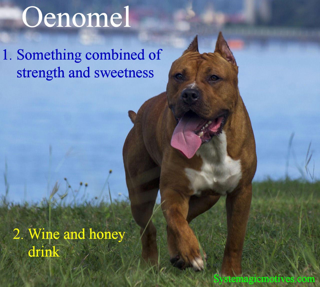 Graphic Definition of Oenomel