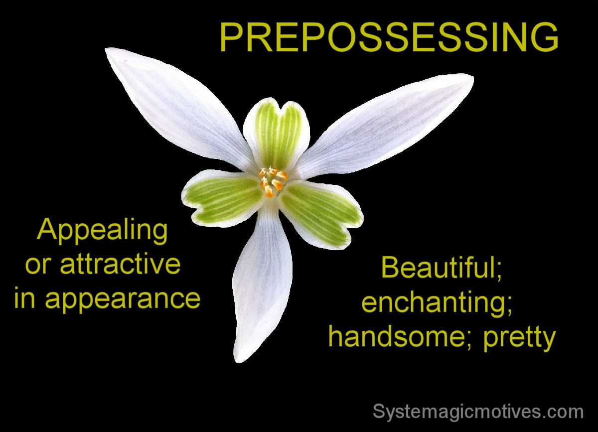 Graphic Definition of Prepossessing
