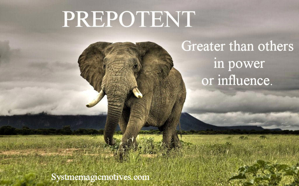 Graphic Definition of Prepotent
