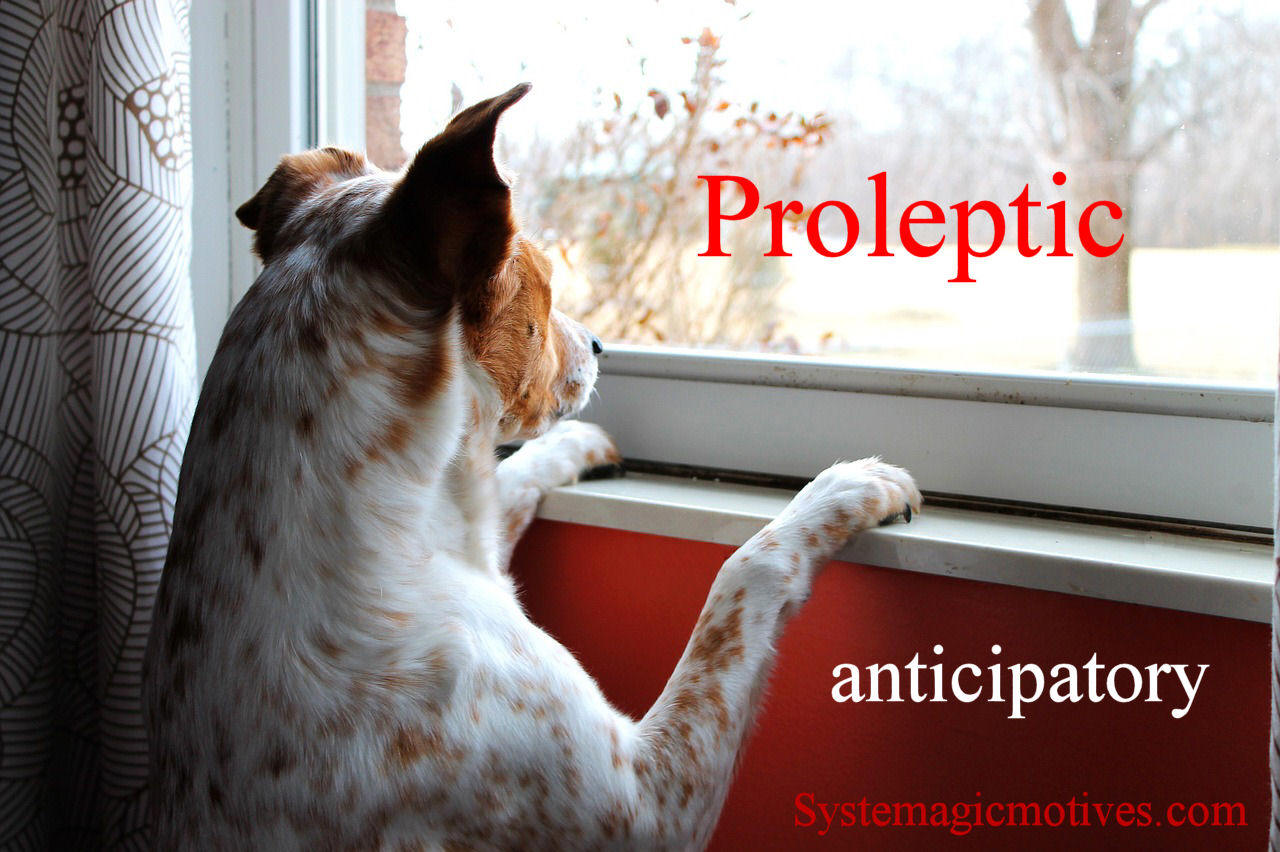 Graphic Definition of Proleptic