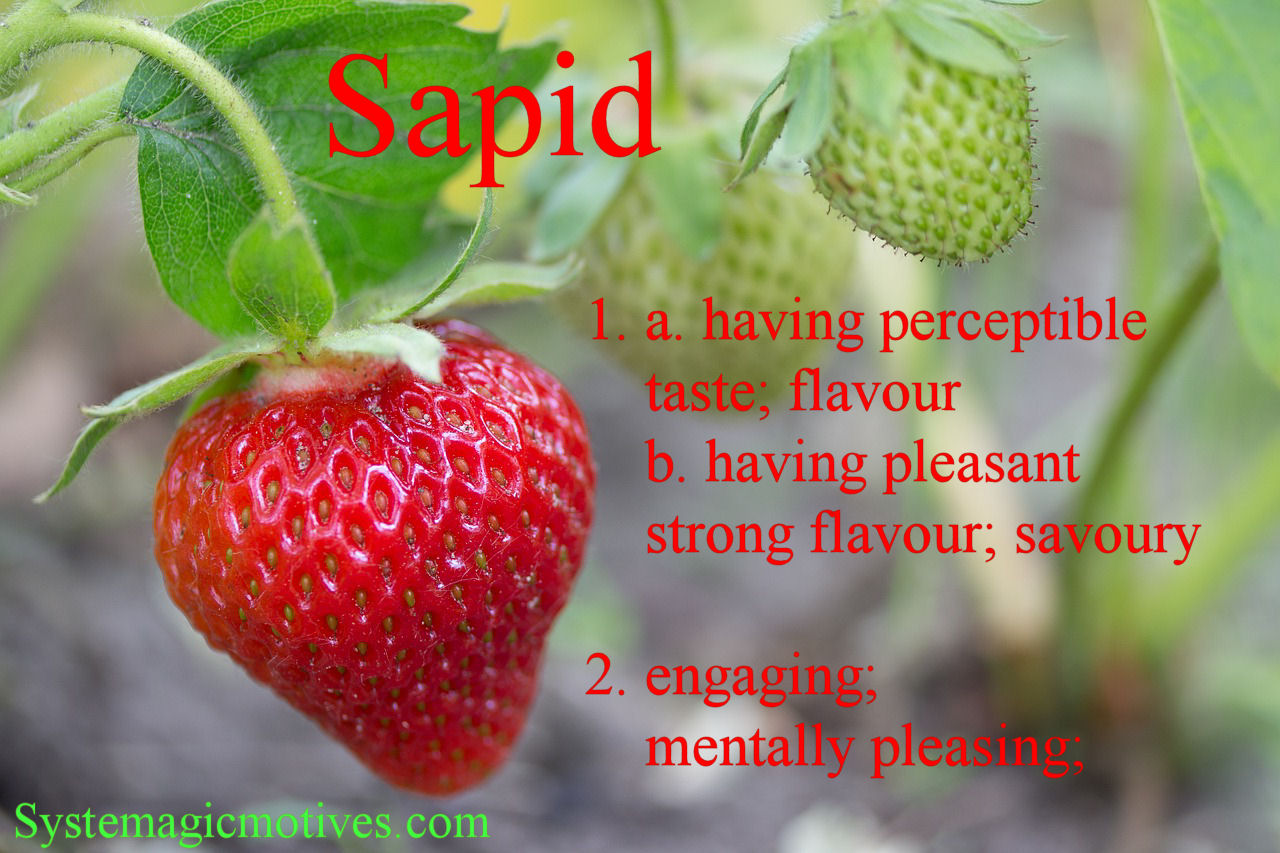 Graphic Definition of Sapid