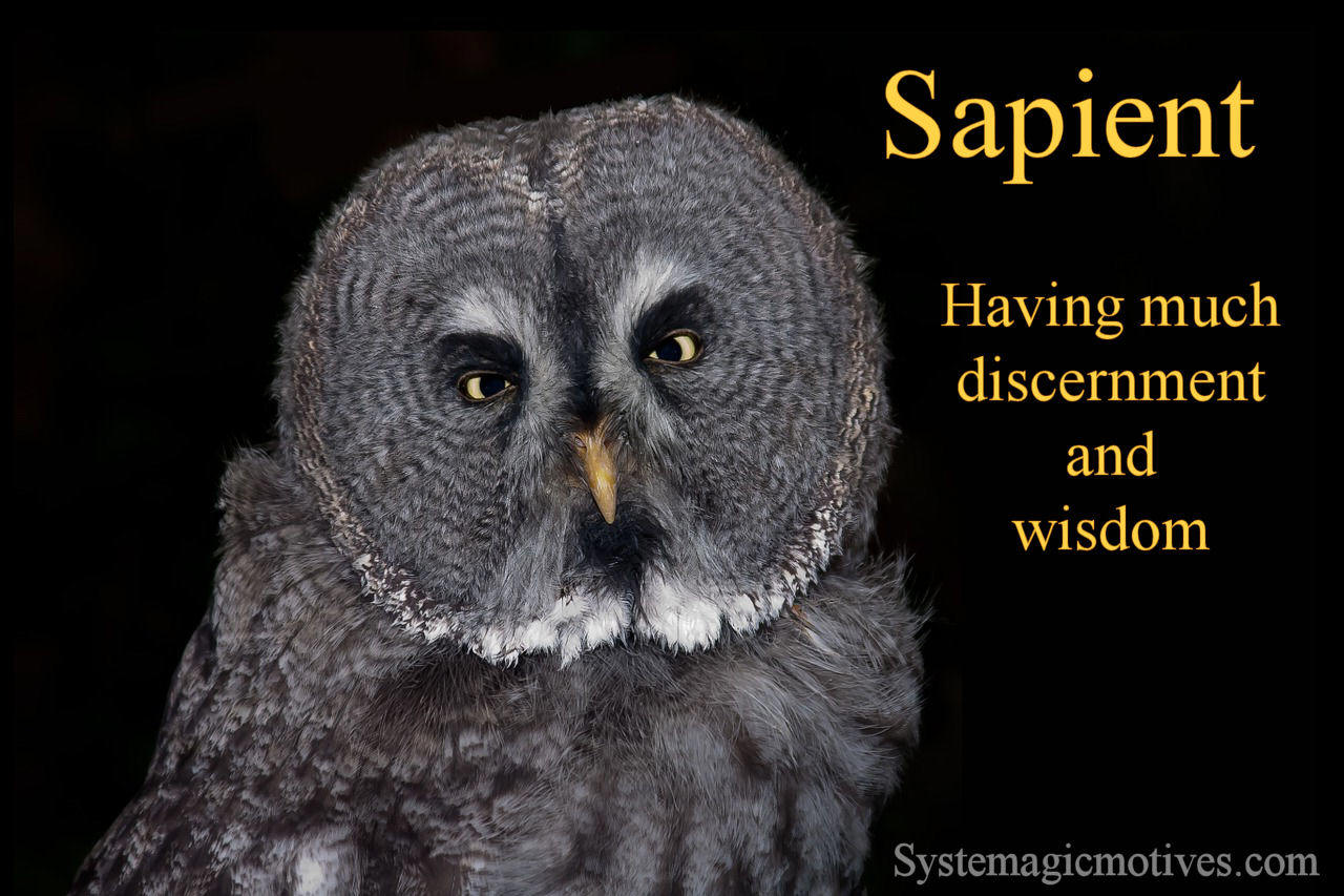 Graphic Definition of Sapient
