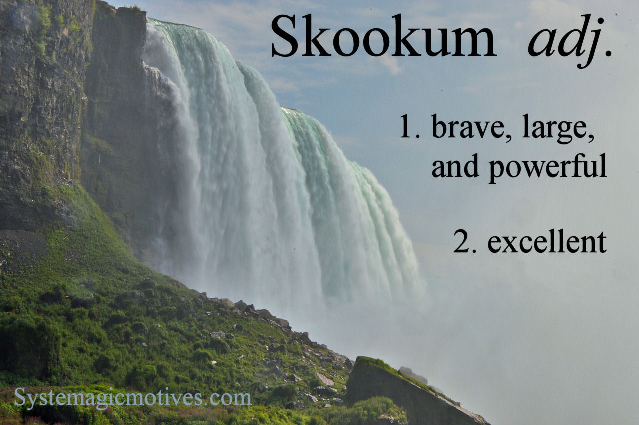 Graphic Definition of Skookum
