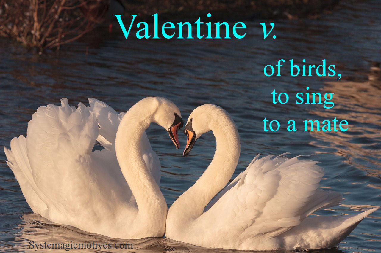 Graphic Definition of Valentine