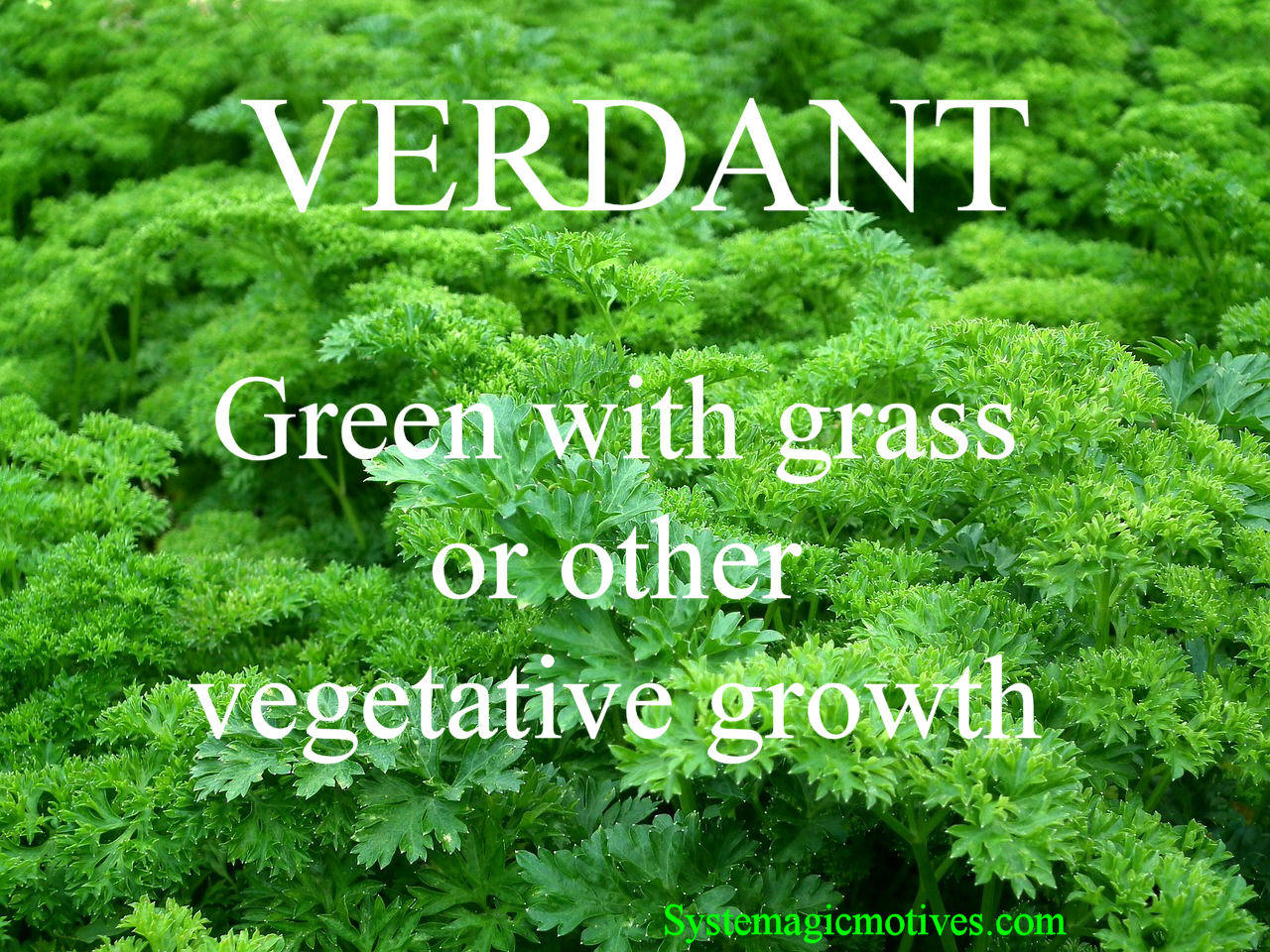 Graphic Definition of Verdant