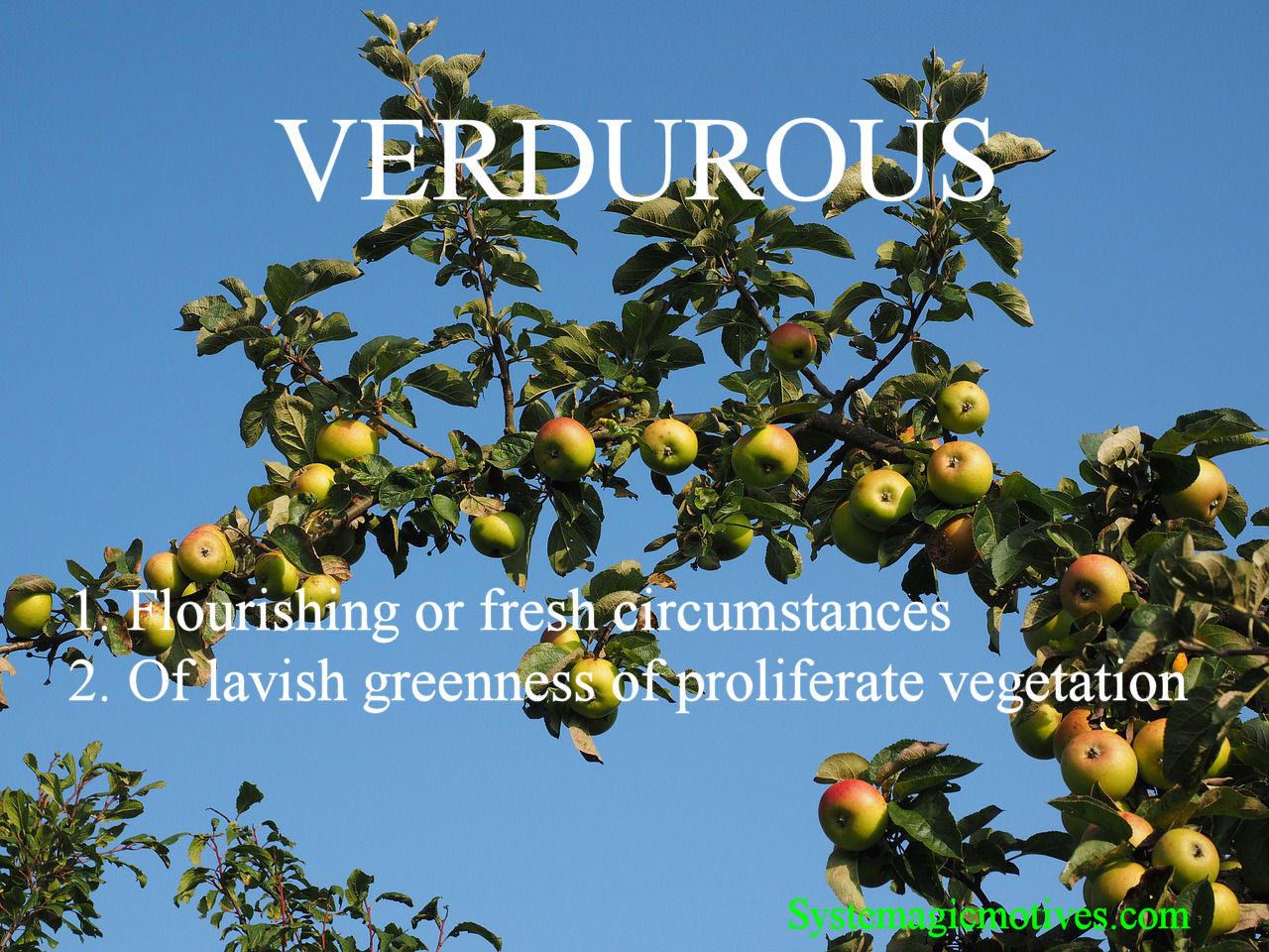Graphic Definition of Verdurous