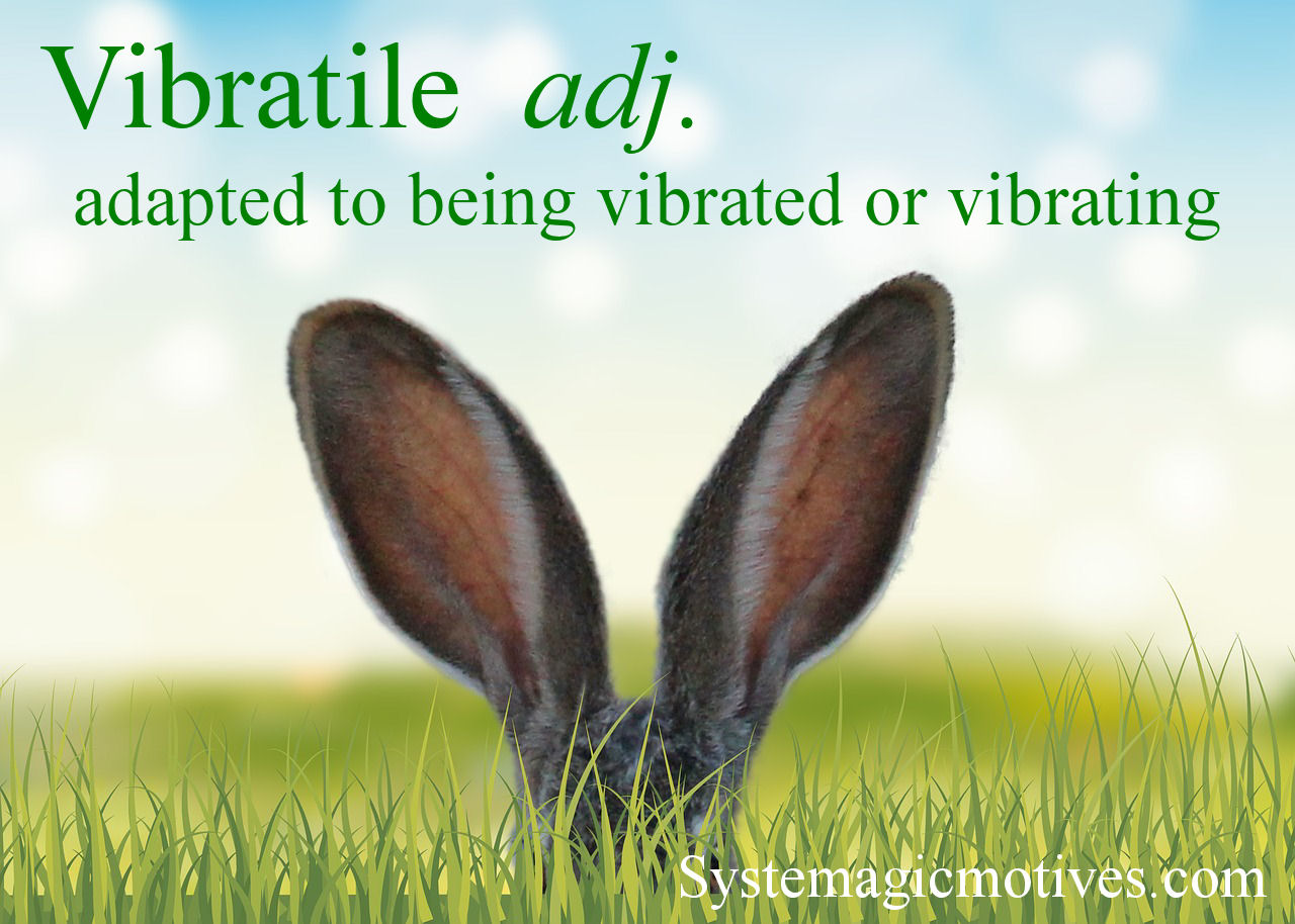 Graphic Definition of Vibratile