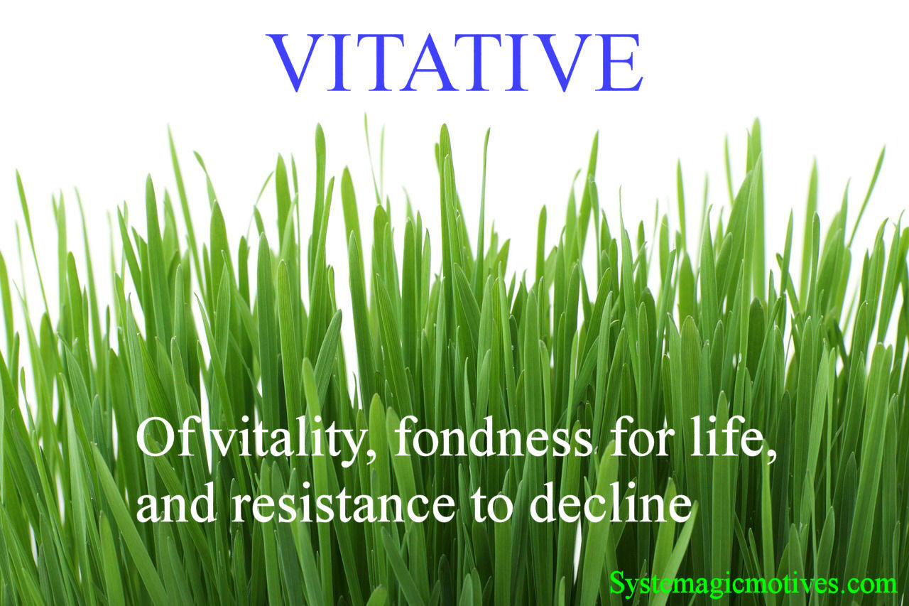Graphic Definition of Vitative