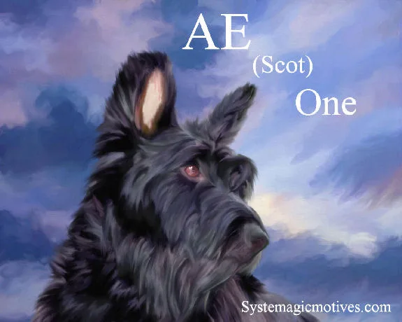 Graphic Definition of Ae