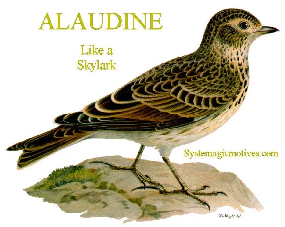 Graphic Definition of Alaudine