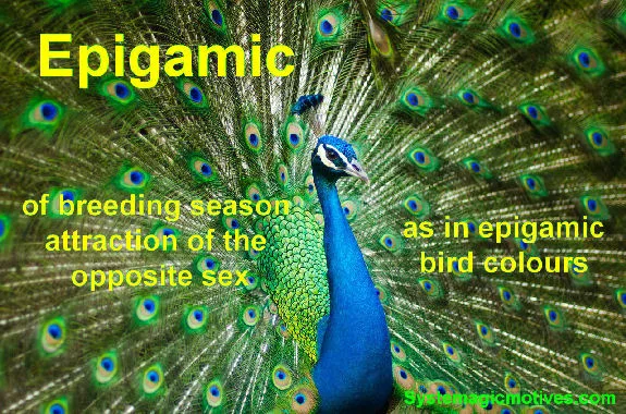 Graphic Definition of Epigamic